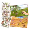 Top Model | טופ מודל Dino Zoo Coloring Book חוברת צביעה ומדבקות - Top Model - קיקוס - Kikos.co.il